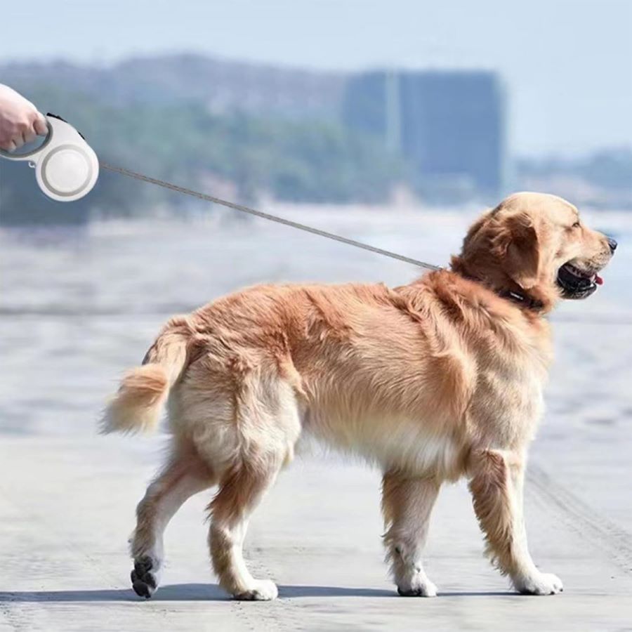 Heavy Duty Retractable Dog Leash