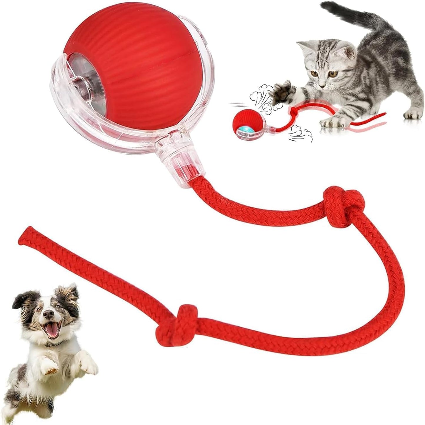 Smart Interactive Rolling Ball – USB Rechargeable Cat & Dog Toy