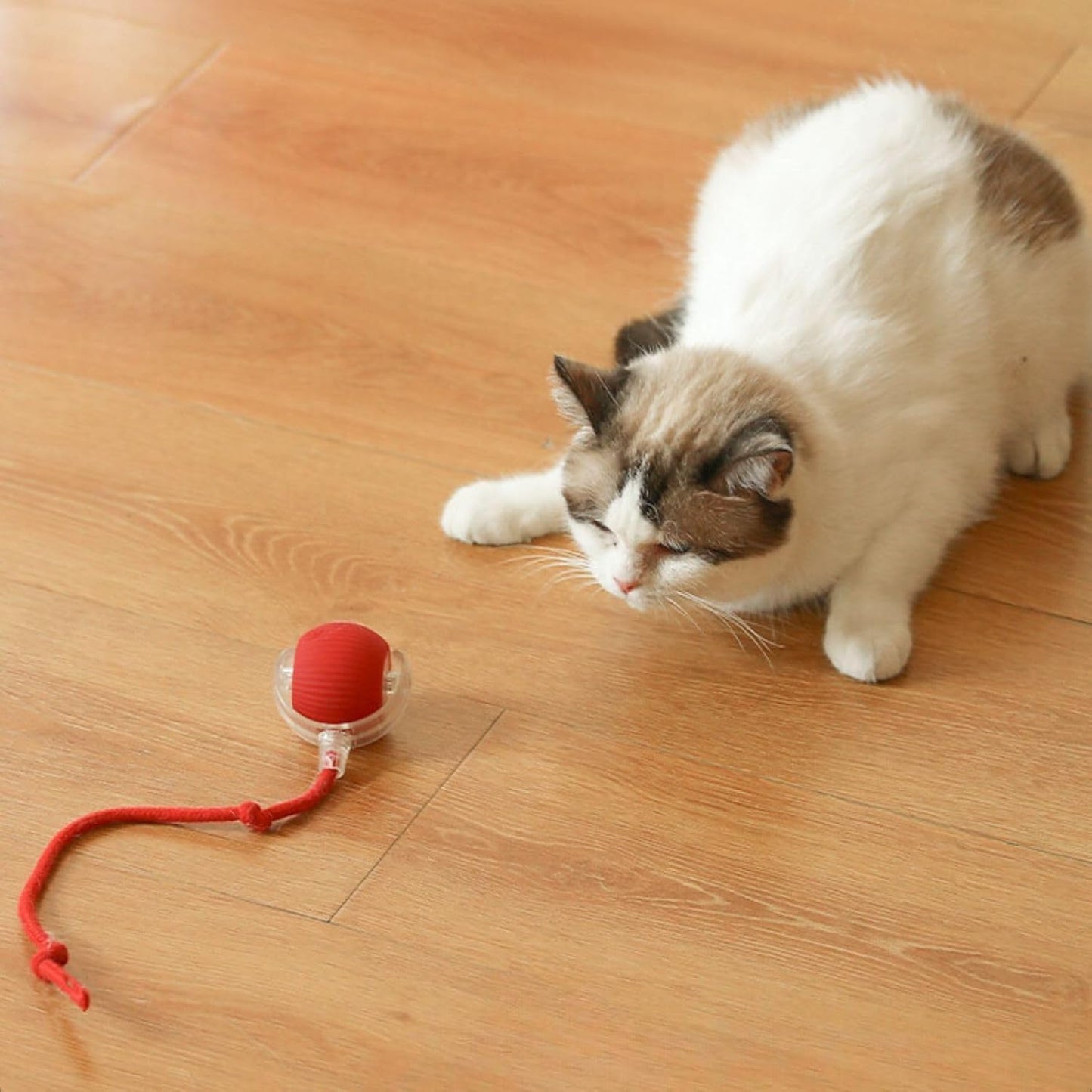 Smart Interactive Rolling Ball – USB Rechargeable Cat & Dog Toy