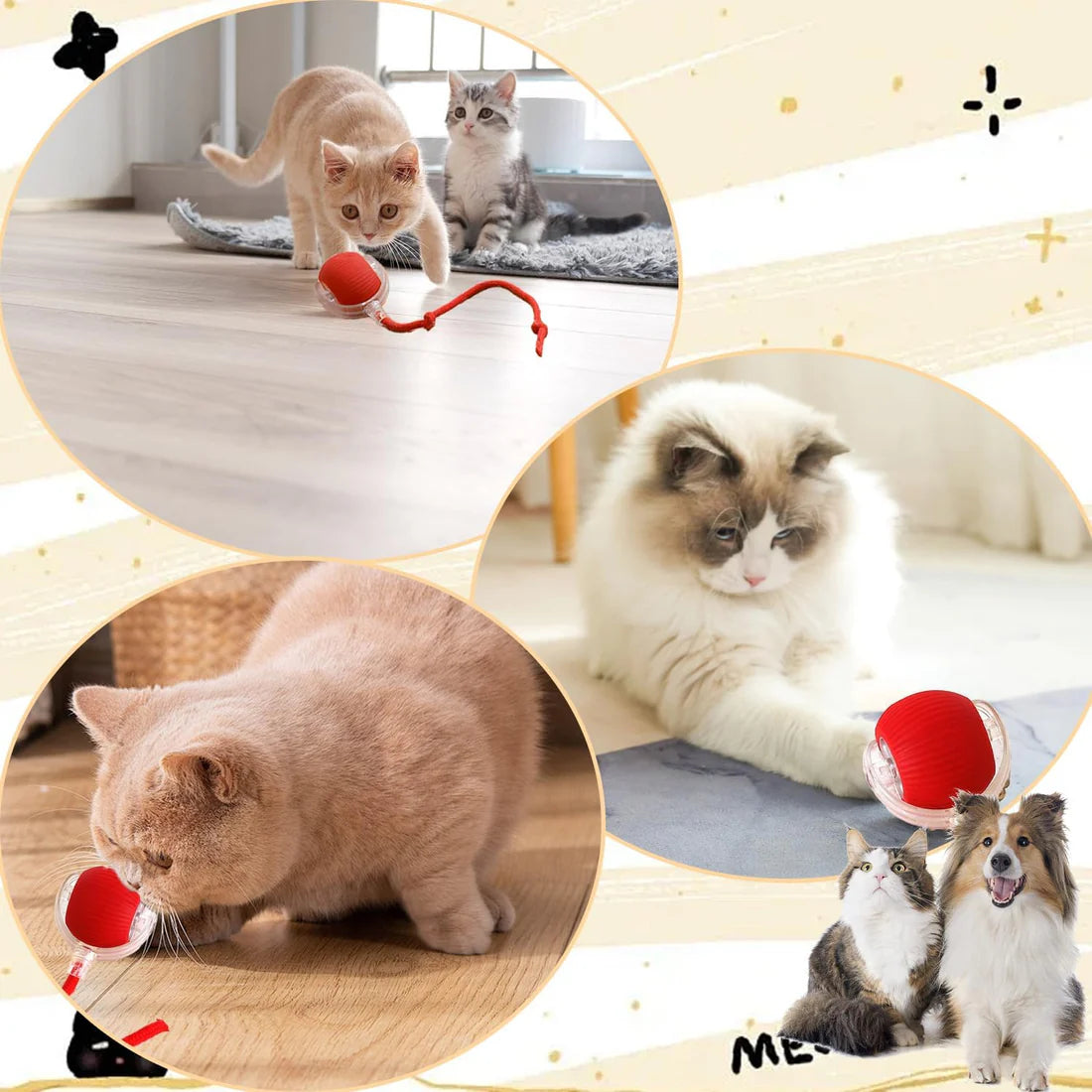 Smart Interactive Rolling Ball – USB Rechargeable Cat & Dog Toy