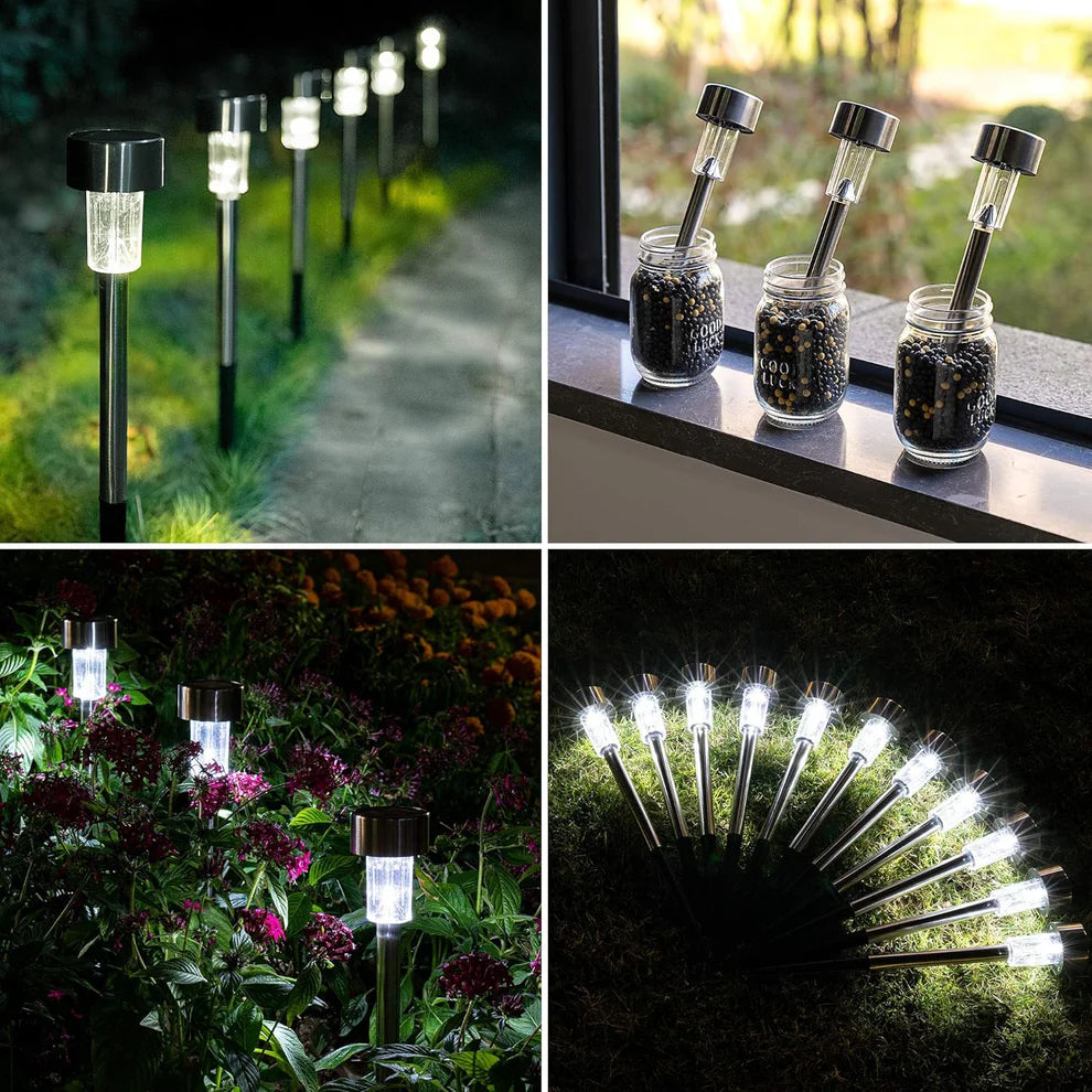 Solar Pathway LED Lights