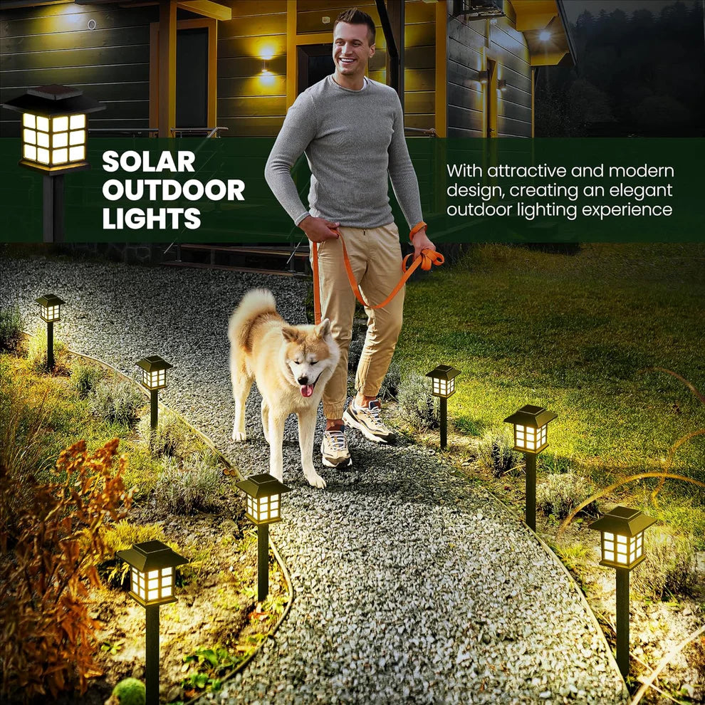 Solar Pathway LED Lights