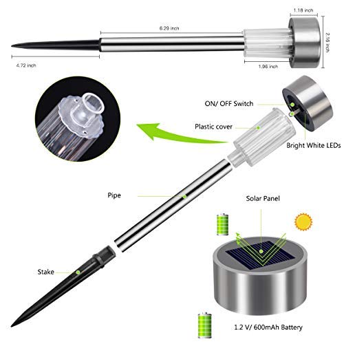 Solar Pathway LED Lights