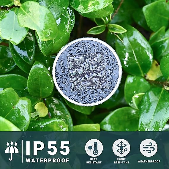 Solar Pathway LED Lights